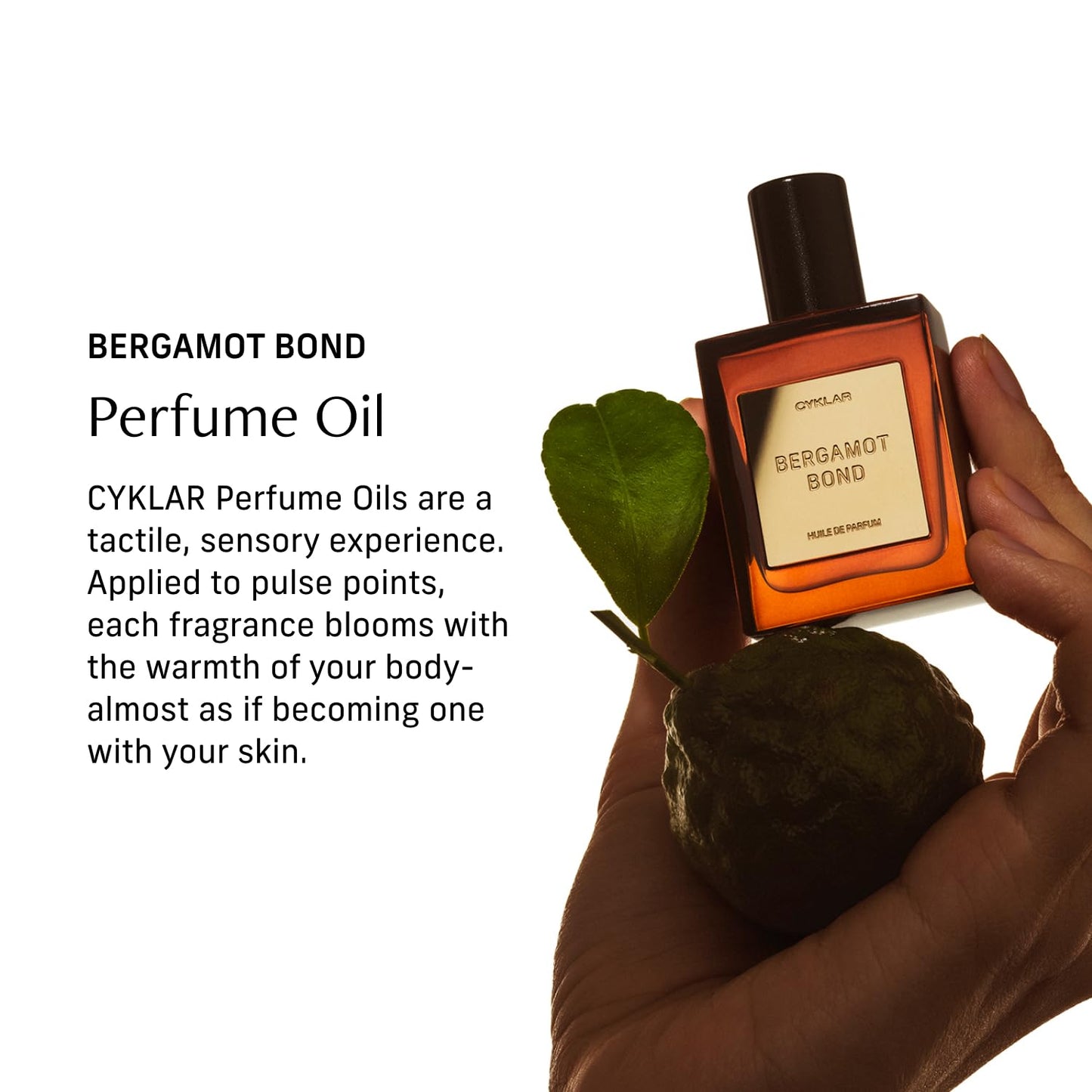 Perfume Oil Roll-On. Travel-Friendly Bergamot Bond Fragrance With Bergamot, Verbena, and Cashmere. Long-Lasting Essential Oil Parfum For Women and Men. 0.5 Fl Oz Scented Rollerball Bottle