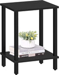 TUTOTAK End Table, Side Table, Nightstand, 2-Tier Storage Shelf, Sofa Side Table for Small Space, Living Room, Bed Room Black TB01BK034