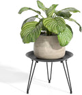 SUEH DESIGN Plant Stand Indoor, Metal Plant Stand Round Plant Table Heavy Duty Plant Stool Flower Pot for Indoor Outdoor Home Decor, 1 Pack Short