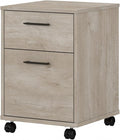 Bush Furniture Key West 2 Drawer Mobile File Cabinet, Rolling File Cabinet for Home Office