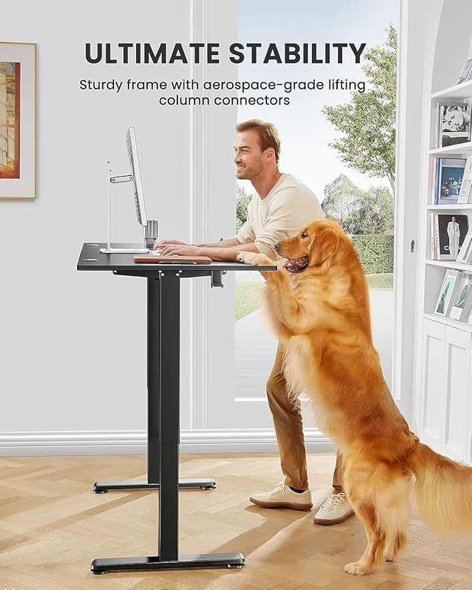 ErGear Height Adjustable Electric Standing Desk, 63 x 27.5 Inches Sit Stand up Desk, Large Memory Computer Home Office Desk with Two-Piece Desktop (Black)