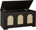 DINZI LVJ Storage Chest, 39.4" Rattan-Like Storage Box with 2 Safety Hinges, Wooden Entryway Shoe Bench with Flip-Top, Bedroom, Easy Assembly, Espresso and Natural