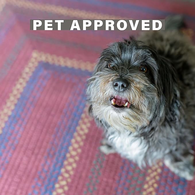 Jamestown Burgundy Oval Braided Rug, Jute, 27"x45" - Rustic Cabin Decor for Entryway, Kitchen, Everywhere