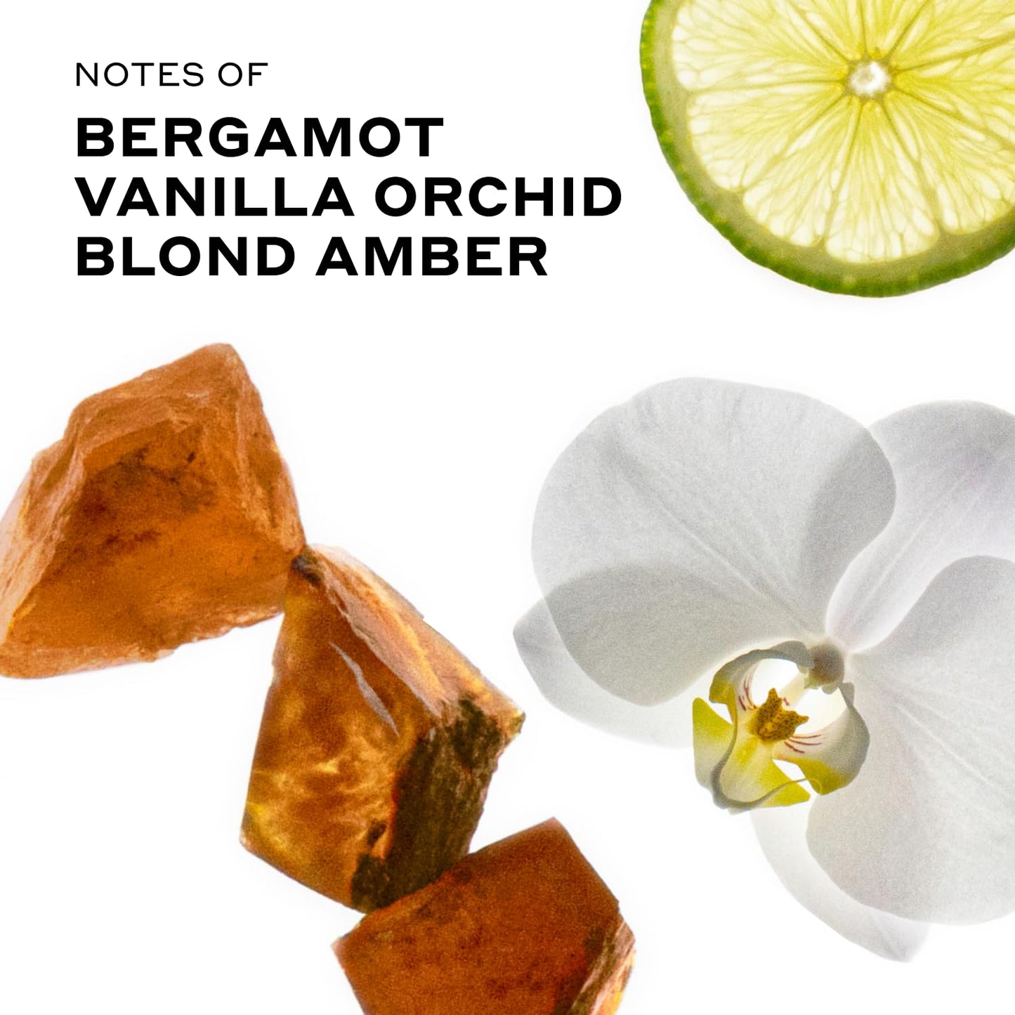 Ellis Brooklyn Blond Musk Perfume Oil Roll-On for Women – Clean White Musk Scent – Bergamot, Violet Petal, Waterlily, Rose & Vanilla Orchid – Long Lasting Fragrance, Travel-Friendly Rollerball, 15ml