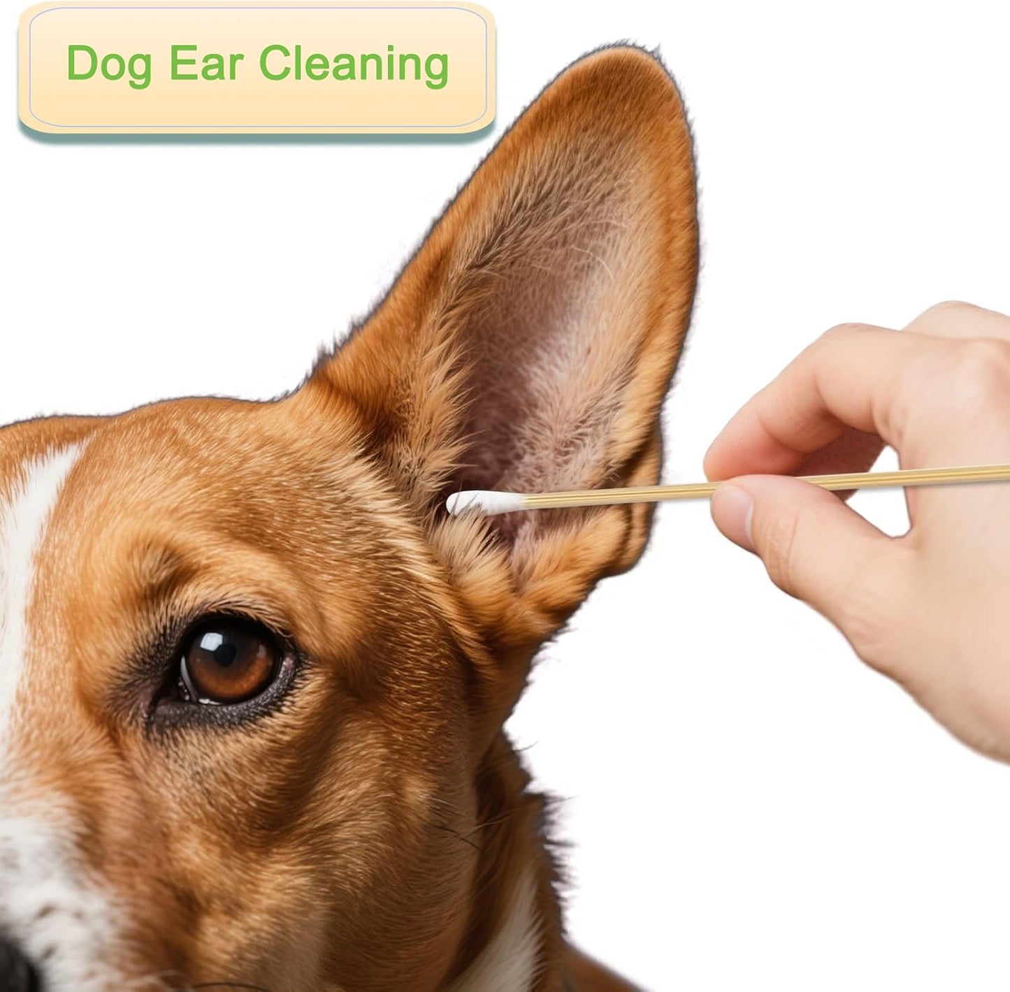 200 PCS Long Wooden Cotton Swabs, Cleaning Cotton Sticks with Wood Handle for Oil Makeup Gun Applicators, Eye Ears Eyeshadow Brush and Remover Tool, Cutips Buds for Baby and Home Accessories