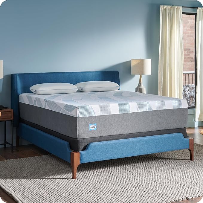 Sealy Dreamlife 14” Foam Mattress-in-a-Box, Queen, SealyComfort Gel Memory Foam, SealySupport Transition Foam, Machine Washable Cover