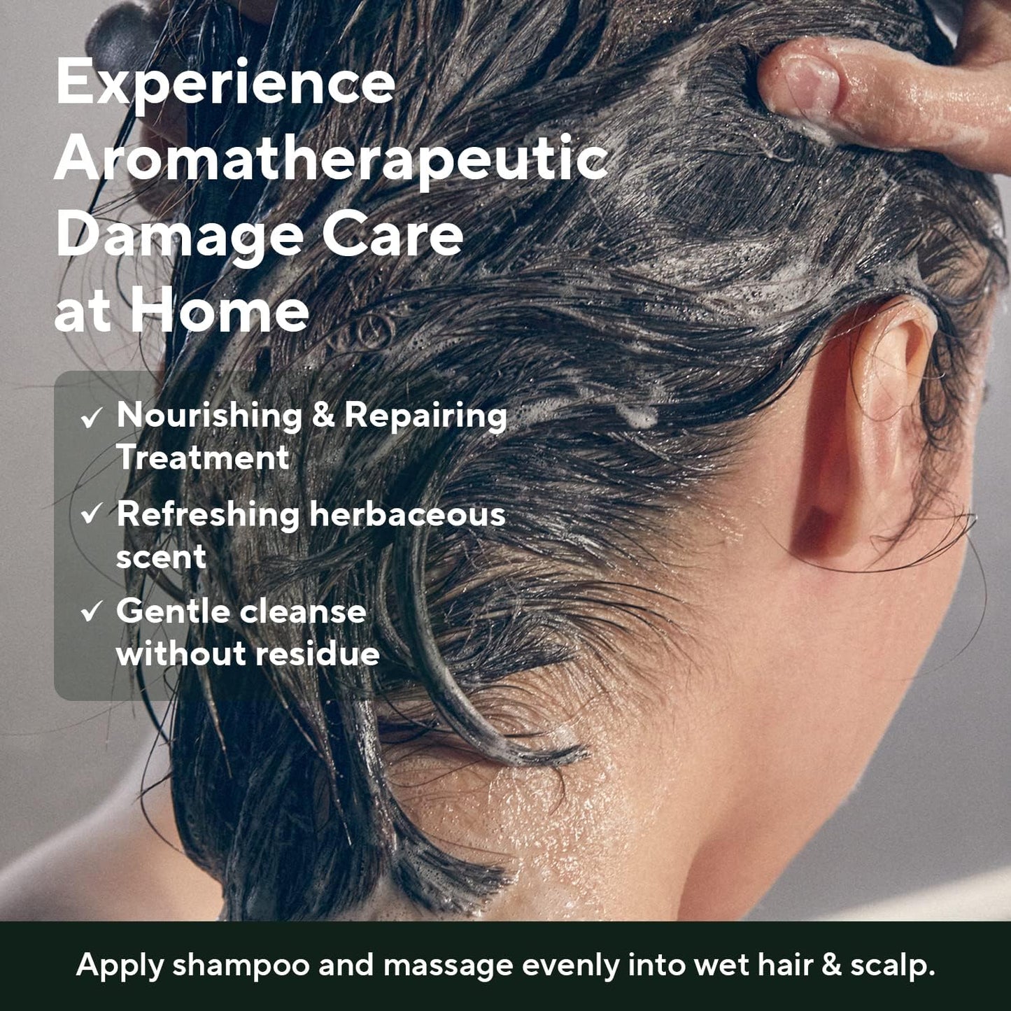 AROMATICA Quinoa Protein Shampoo 13.53 oz / 400ml – Provides Protein and Nourishment to Extremely Damaged Hair- Free from Sulfate, Silicone