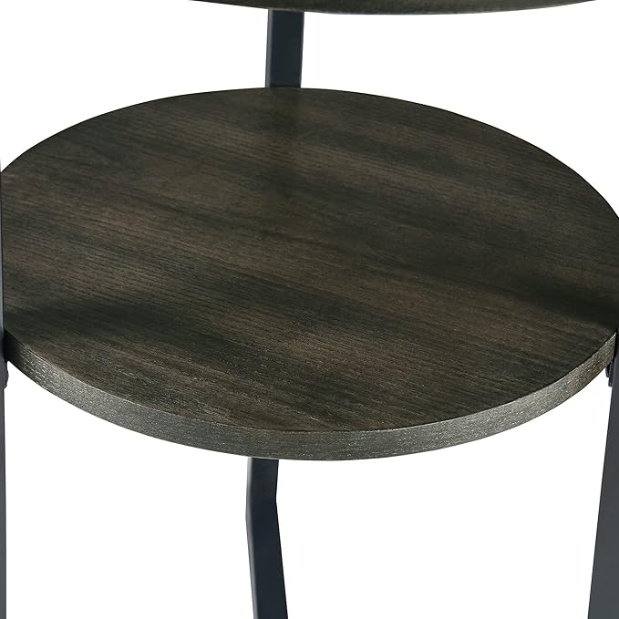 LEEMTORIG Round Side Table, 2-Tier End Table Nightstand with Metal Legs, Modern Bedside Couch Accent Table for Living Room, Bedroom, Office, Rustic Black/Black, 19.3 x 19.3 x 24 inches BZ-1338-BK