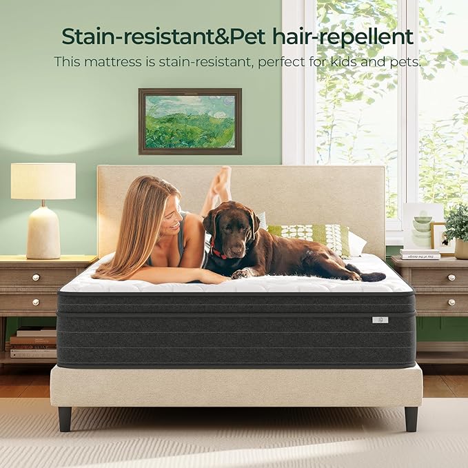 12 Inch Full Size Mattress in a Box for Back Pain, Medium Firm Feel Fiberglass Free Hybrid Mattress with Individual Pocket Springs and Pressure-Relieving Memory Foam, 120-Night Trial