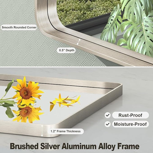 20x30 Inch Brushed Nickel Bathroom Mirror, Brushed Silver Metal Framed Wall Mirror, Rounded Corner Rectangle Modern Vanity Mirror, Tempered Glass, Anti-Rust, Shatterproof (Horizontal/Vertical)