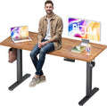 Electric Standing Desk, 55x24 inches Height Adjustable Desk, Sit to Stand Desks Memory Gaming Computer Workstation for Home Office, Light Rustic Brown