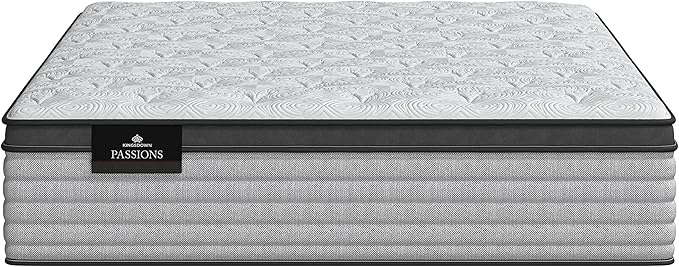 Kingsdown Passions Aspiration 14.75" Pillow Top Mattress Twin XL