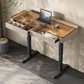 Lartis Office Desk, Electric Computer Lift Table Standing Desk with Drawer Charging USB Port, Home Office Laptop Table with Drawer