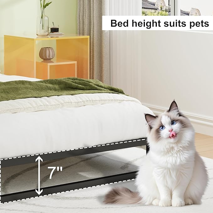 EMODA 7 Inch Twin XL Bed Frames No Box Spring Needed, Heavy Duty XL Twin Metal Platform Bed Frame, Noise Free, Easy Assembly, Black