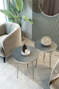 PAK HOME - Set of 2 End Table - High Gloss Grey Wood Round Sofa Side Coffee Tables for Small Spaces, Nightstand Bedside Table with Metal Silver Legs for Small Spaces