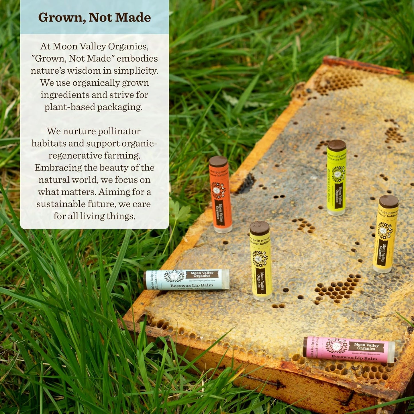 MOON VALLEY ORGANICS Organic Herbal Lip Balm Mint Vanilla, 0.15 OZ