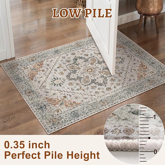 Tangsoo 3x5 Bedroom Rug, Washable Vintage Indoor, Area Rug Non Slip Accent Rug, Print Distressed Taupe Carpet, Soft Low Pile for Living Room Dorm Bedroom Bedside Entryway Bathroom
